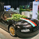 Illustration for article titled Chinese Unveil Electric Dong Car Covered In Bush